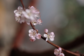 2016_0404_12241400(2)