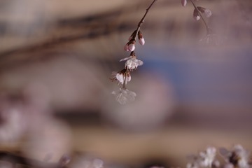 2016_0404_12270800(2)