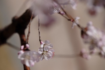 2016_0404_12290100(2)