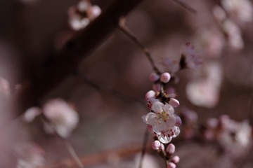 2016_0404_12292200(2)