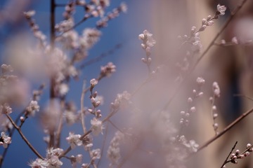 2016_0404_12272700