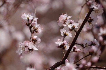 2016_0404_12263800