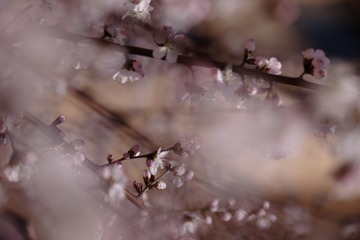 2016_0404_12281400