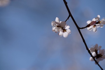 2016_0404_12304100