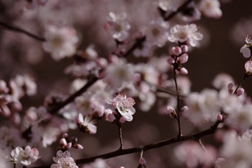 2016_0404_12284100