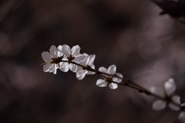 2016_0404_12311100