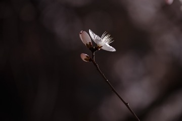2016_0404_12313700