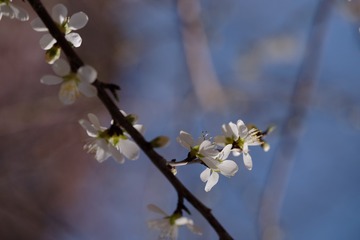 2016_0404_12321100