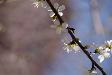 2016_0404_12321500
