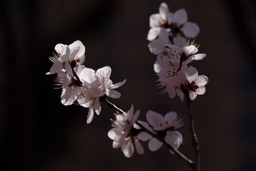 2016_0404_12325100