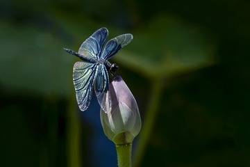 579387