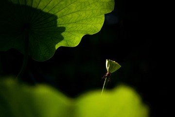 548308
