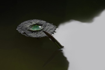549154