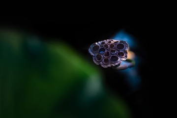 549168