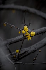 557329