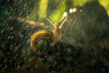 风雨不改初心