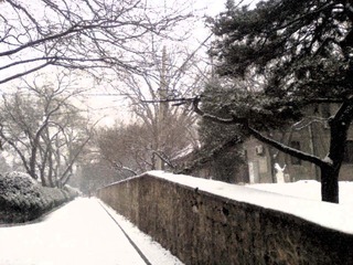 雪巷(燕南园北)
