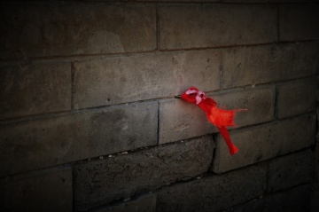 旧庙墙上，未了心愿