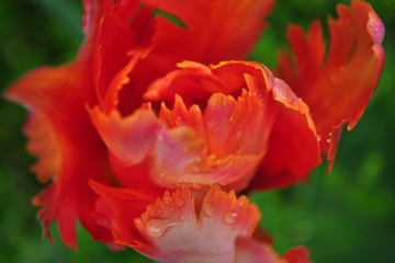 DSC_9502.JPG