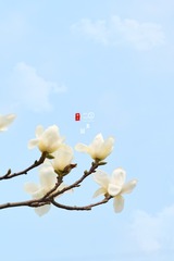 D09B5BE1-27B1-4B53-B105-6DB5130AC13A/L0/001