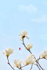 EF0E4C1F-3941-4B54-A7F7-72A9C2EFB13E/L0/001