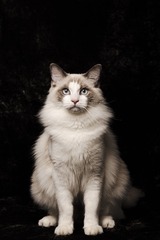 22223