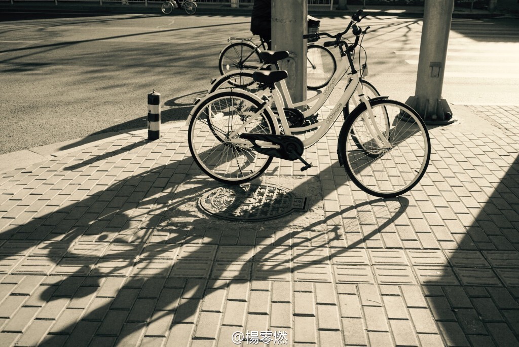 阳光洒落的地方，生活可爱的往常。<br />
<a href="https://tuchong.com/1537166/" target="_blank">@楊零燃</a> 拍摄于2016年 北京五四大街