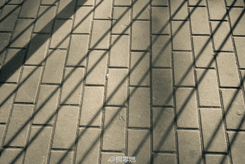 阳光洒落的地方，生活可爱的往常。<br />
<a href="https://tuchong.com/1537166/" target="_blank">@楊零燃</a> 拍摄于2016年 北京五四大街