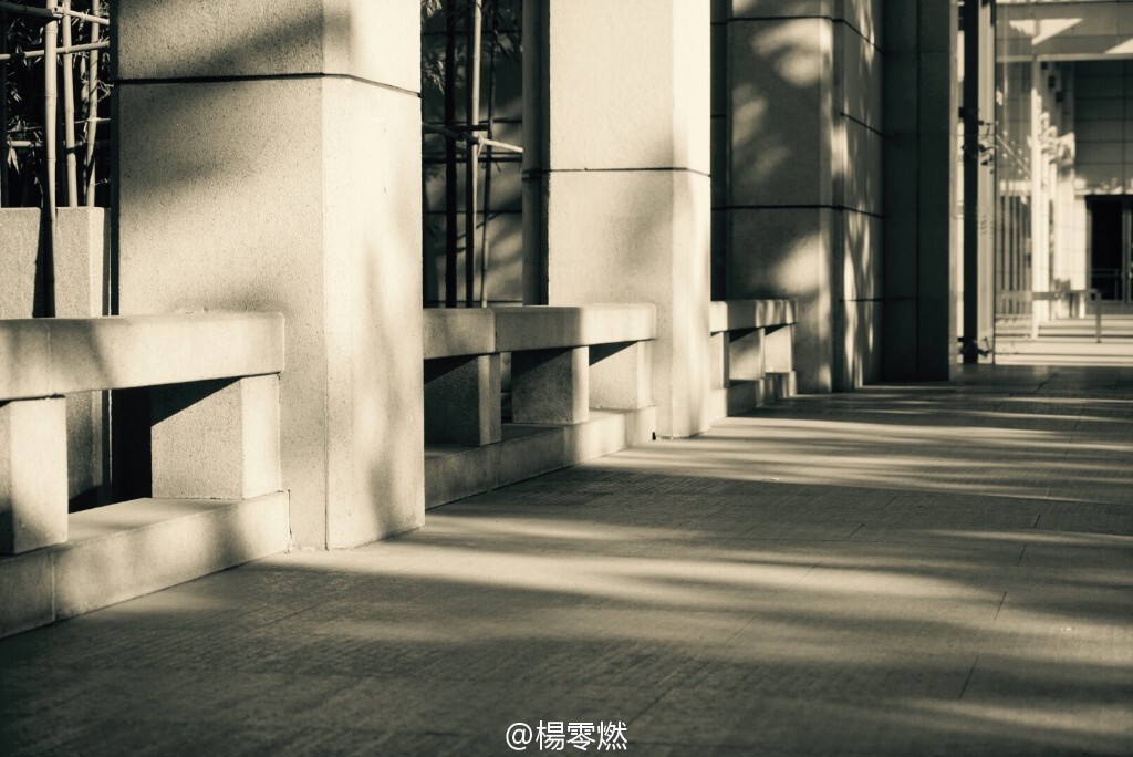 阳光洒落的地方，生活可爱的往常。<br />
<a href="https://tuchong.com/1537166/" target="_blank">@楊零燃</a> 拍摄于2016年 北京五四大街