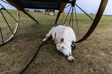 DSC_0028 (2)