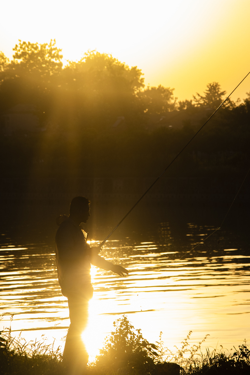 钓鱼人外出录素材的时候记录下的