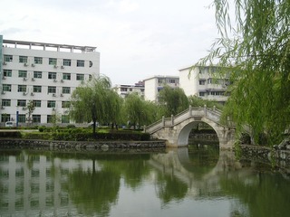 164667