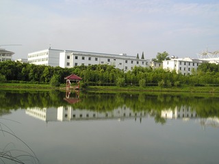 164713