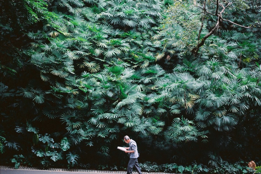 风景是你的诗<br />
风景是你的<br />
风景是你