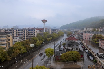 1306606
