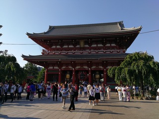 230632