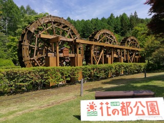 230739