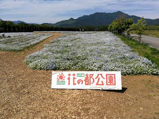 230711