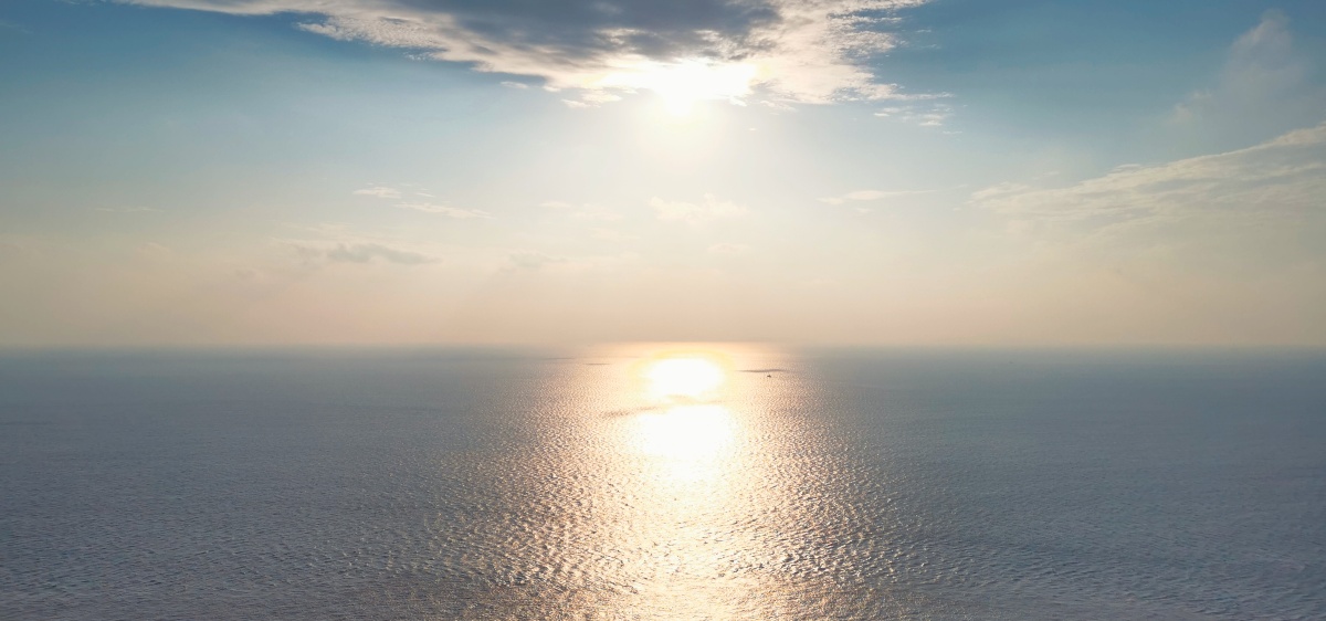 远渡重洋却依然没有寻到你的影子