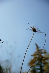 1809168