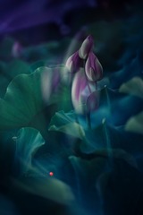 6D070759-A6A9-4908-ABFD-3ED21D6B6A5A/L0/001