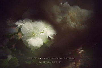 93BFE41E-2255-47B9-971F-85272A95DC71/L0/001