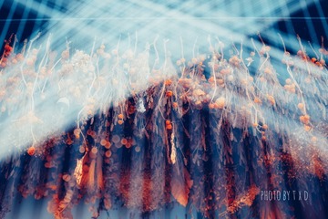 001