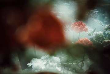 5CF365CC-3F37-4C4F-AB0C-F0BDDCB1918C/L0/001