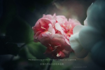 B2CF1E54-414F-4FEB-93B0-86805CFEB0DF/L0/001