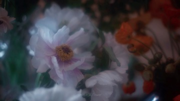 07499806-BB77-439B-B2B7-5B1A51AAA3C5/L0/001
