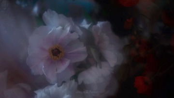 1B388D89-8D23-4774-80C4-2D450324726C/L0/001