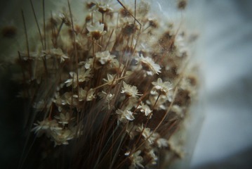 98B23EF2-D19A-41EE-987D-96E7AE6253DD/L0/001