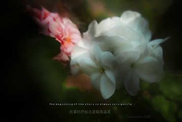 C9284A07-A3FF-4E9E-991A-73138AEFA454/L0/001