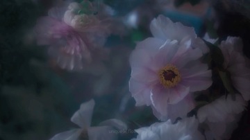 6D6D659D-30BD-48B4-A022-0A8AF96DB93A/L0/001
